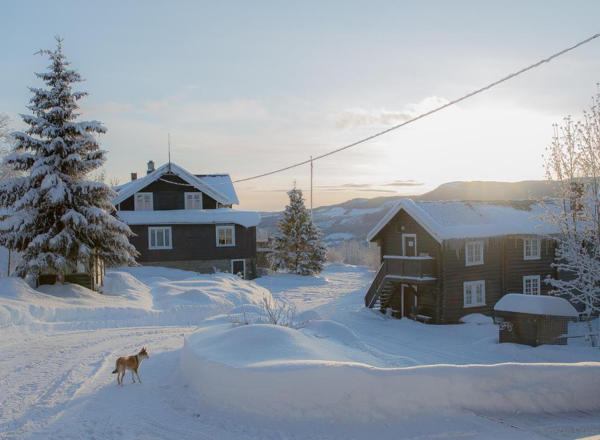 Eikre Fjellgard Hotel Hemsedal Bagian luar foto