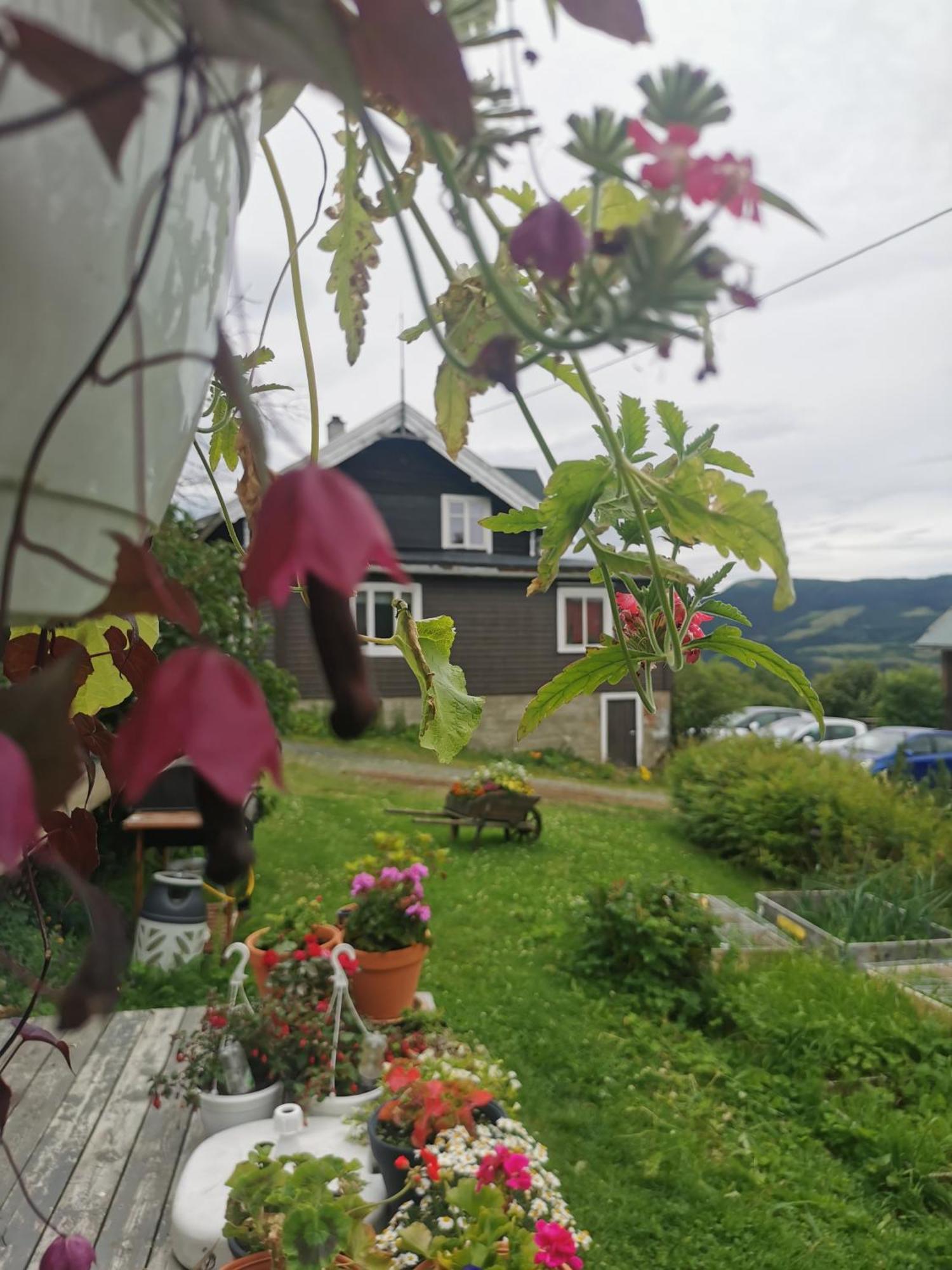 Eikre Fjellgard Hotel Hemsedal Bagian luar foto